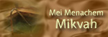 Mikvah Button.jpg